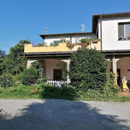 Le Camelie Villa Polverara Exterior photo