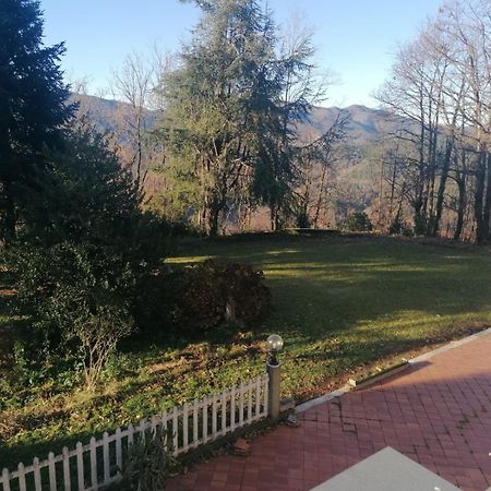 Le Camelie Villa Polverara Exterior photo