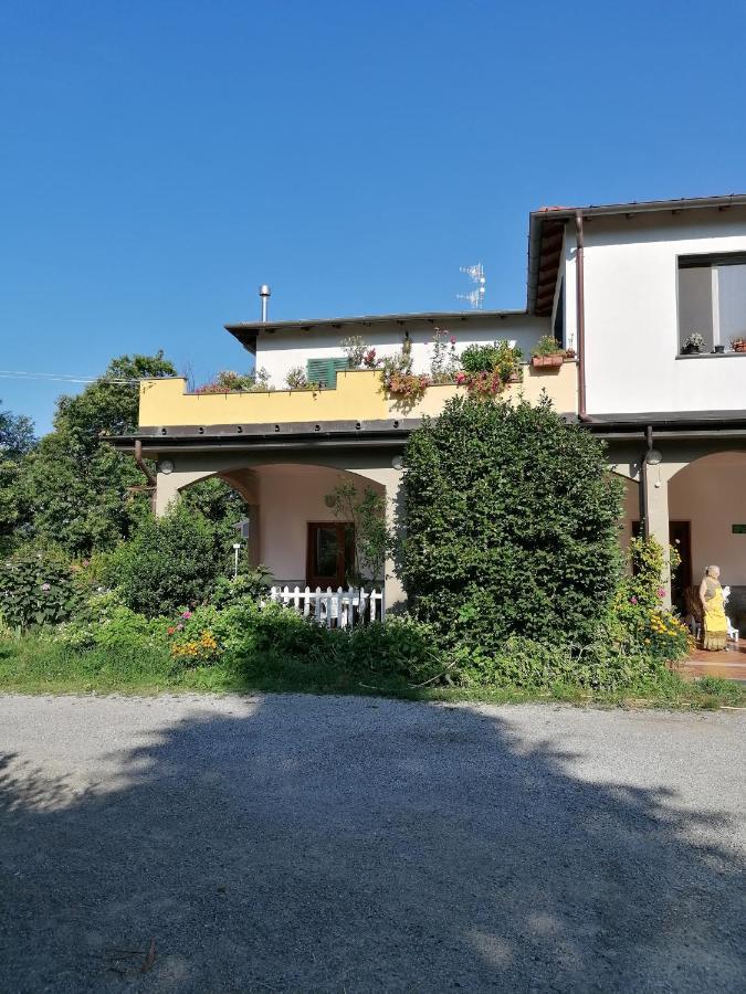 Le Camelie Villa Polverara Exterior photo