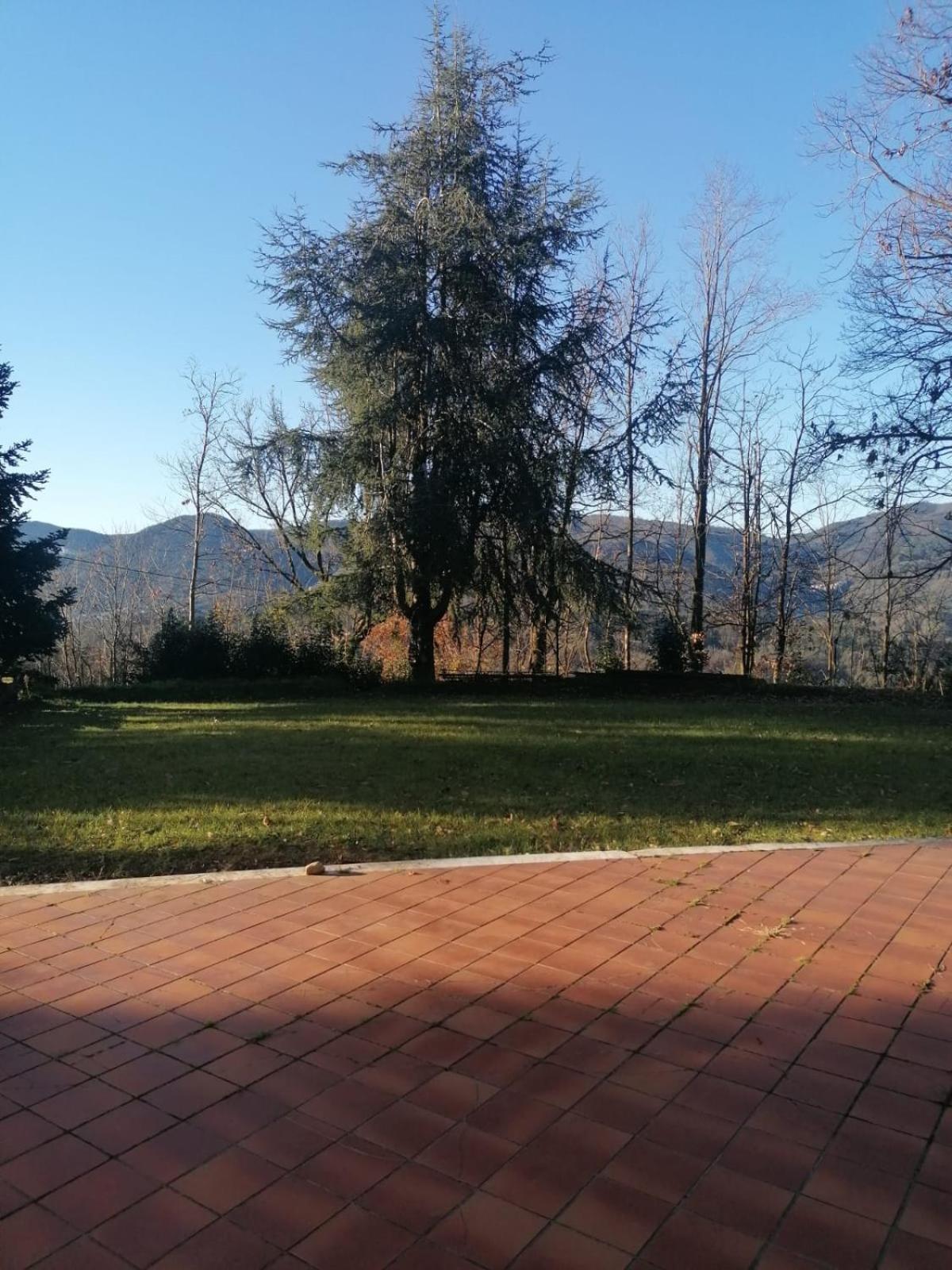 Le Camelie Villa Polverara Exterior photo