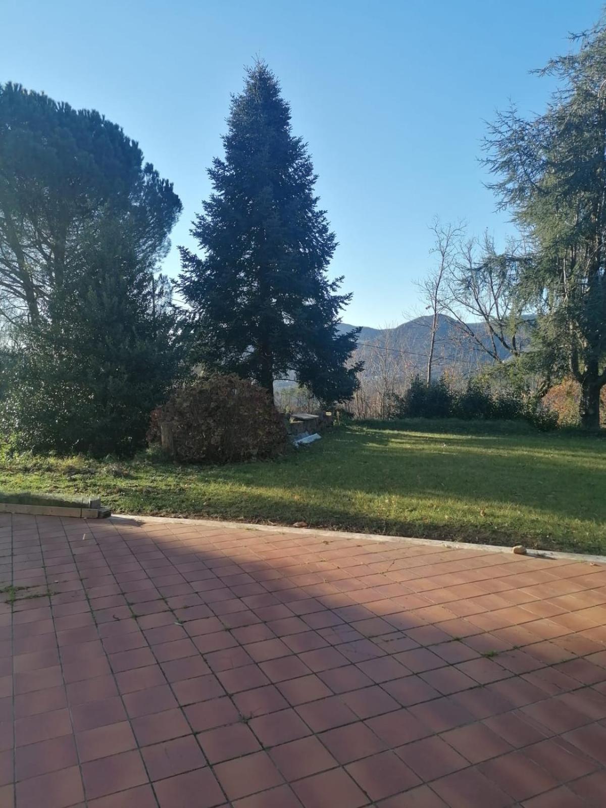 Le Camelie Villa Polverara Exterior photo
